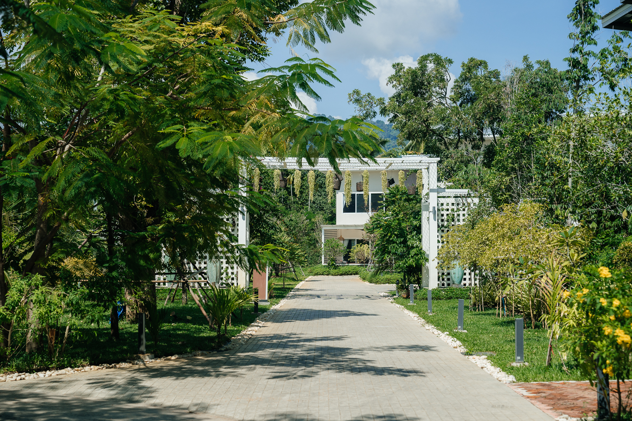 Photographer Nikonorov -17.jpg